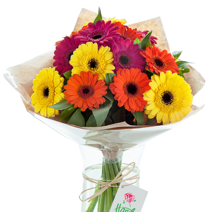 Against a pure white canvas, a jubilant bouquet of Gerbera daisies is showcased in a simple yet elegant glass vase, its arrangement reflecting the artistic vibrancy of Camberwell's flourishing creative scene. The bouquet features a harmonious blend of large, golden yellow, fiery orange, and velvety fuchsia Gerberas, every flower displaying a dramatically dark, almost black center that anchors the composition with visual depth. Bursts of verdant leaves are thoughtfully interspersed, their fresh scent mingling faintly in the air, much like the nearby Camberwell green spaces on a spring morning. The bouquet is swaddled in a wrap of light brown kraft paper, lending an unpolished, handcrafted sensibility that echoes local markets along Peckham Road, then overlaid by a glistening layer of translucent cellophane that arcs protectively around the blooms. Submerged stems crisscross within clear water, ensuring enduring freshness, while at the throat of the vase a slender twist of raffia ties a slim tag featuring the outline of a rose and faint calligraphy. This vivid still life conjures feelings of celebration and care, thoughtfully arranged by an expert Camberwell florist-perfect for gifting at festive occasions, welcoming loved ones home, or simply enlivening a kitchen windowsill with a splash of bold, local colour.
